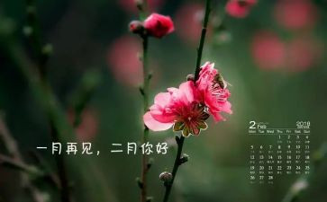 幼儿园二月工作总结8篇