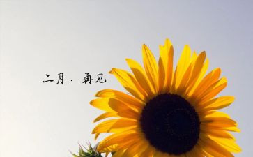 二月份的工作计划5篇