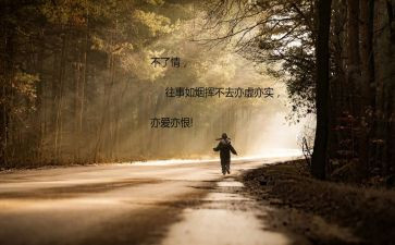 放管服自查报告6篇