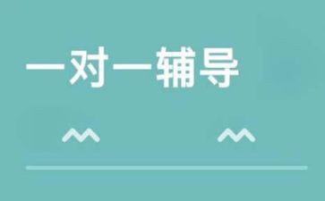 总辅导员述职报告2022精选8篇
