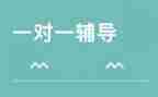 总辅导员述职报告2022精选8篇