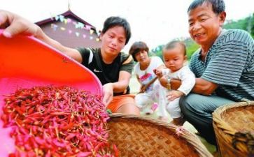 扶贫个人自查报告范文8篇