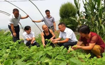 扶贫述职报告优秀6篇