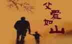 幼儿园父亲活动总结参考7篇
