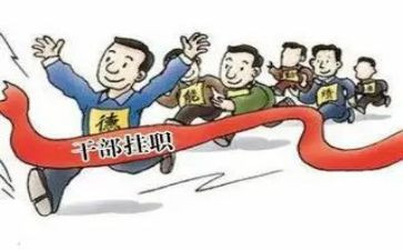 领导副职述职述廉报告5篇