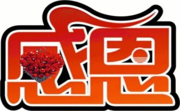 感恩小活动总结优质7篇