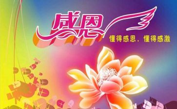 对党感恩心得体会800字8篇