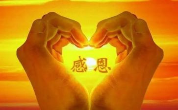 感恩演讲稿范文800字8篇