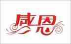 关于感恩的作文500字8篇
