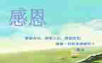 感恩演讲稿四分钟5篇