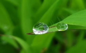 我心灵的甘露作文800字7篇