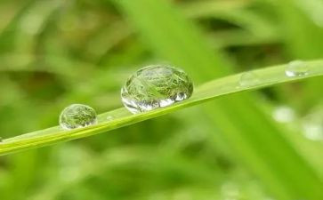 我心灵的甘露初中作文优秀5篇