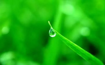 我心灵的甘露初中作文最新6篇