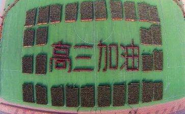 高三教学总结7篇