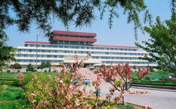 高校教师的辞职报告5篇
