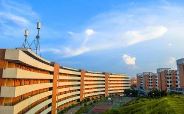 高校教师的述职报告2022精选7篇