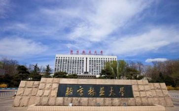 高校招就个人述职报告8篇