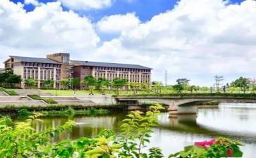 高校教师心得体会通用8篇