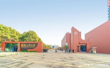 高校总结报告5篇