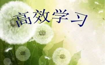 高效执行团队心得体会5篇