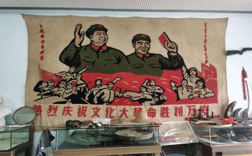 辛亥革命观后感800字5篇