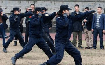 2022年述职报告个人公安5篇