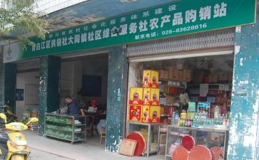 2024年乡镇供销社工作总结6篇