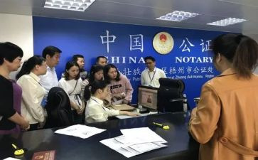 公证处个人总结7篇