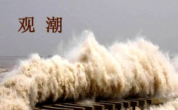 观潮的小学教案精选7篇