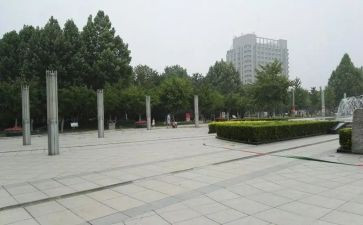 跳广场舞活动总结5篇