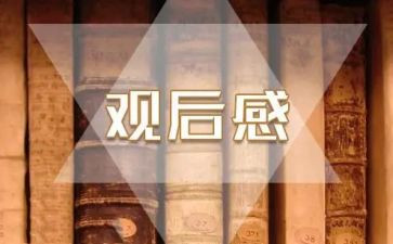 地道战观后感800字8篇