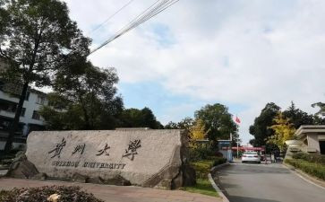 贵大调研报告的模板8篇