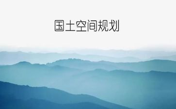 村国土员个人述职报告6篇
