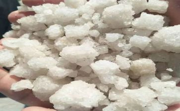 海晶调研报告范文模板7篇
