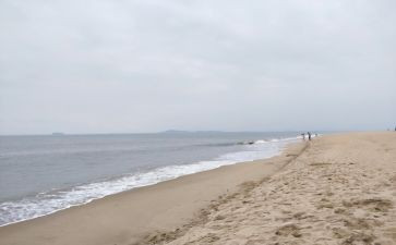 海砂调研报告模板6篇