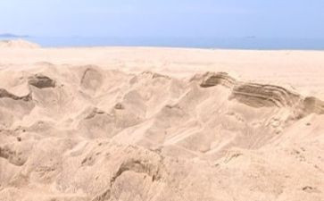 海砂市场调研报告范文通用6篇