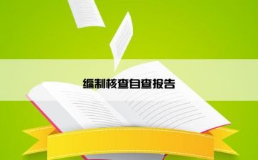 镇机构编制核查自查报告7篇