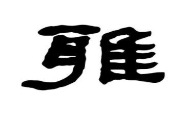 和雅少年演讲稿精选6篇