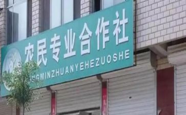 专业合作社调研报告6篇