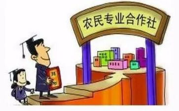 合作社调研报告7篇