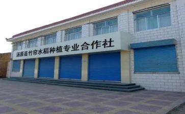 某合作社调研报告5篇