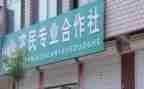 专业合作社调研报告6篇