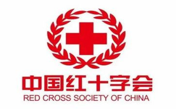 红十活动总结优质6篇