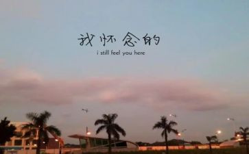 怀念老陆读后感参考6篇