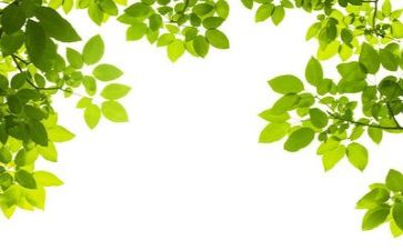 安全环保年终工作总结5篇