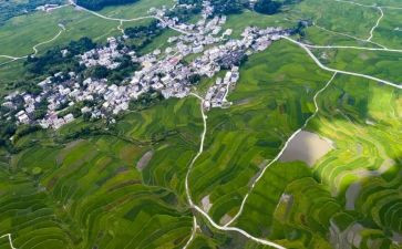 环境保护的实践报告7篇