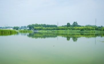 环境课总结报告8篇