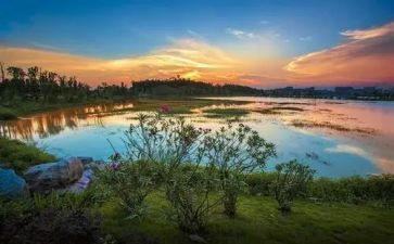 关于生态环境演讲稿5篇