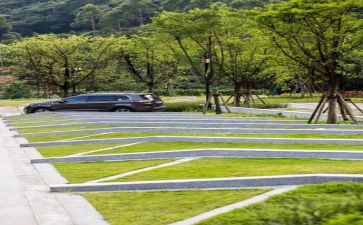 环境保护实践活动心得体会5篇