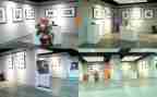 观画展心得体会7篇